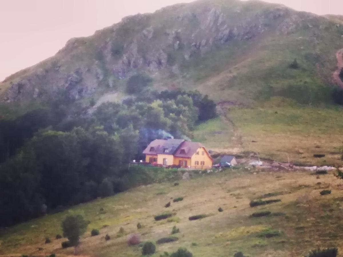 Vikendica Vila Despotovic Kopaonik Dış mekan fotoğraf