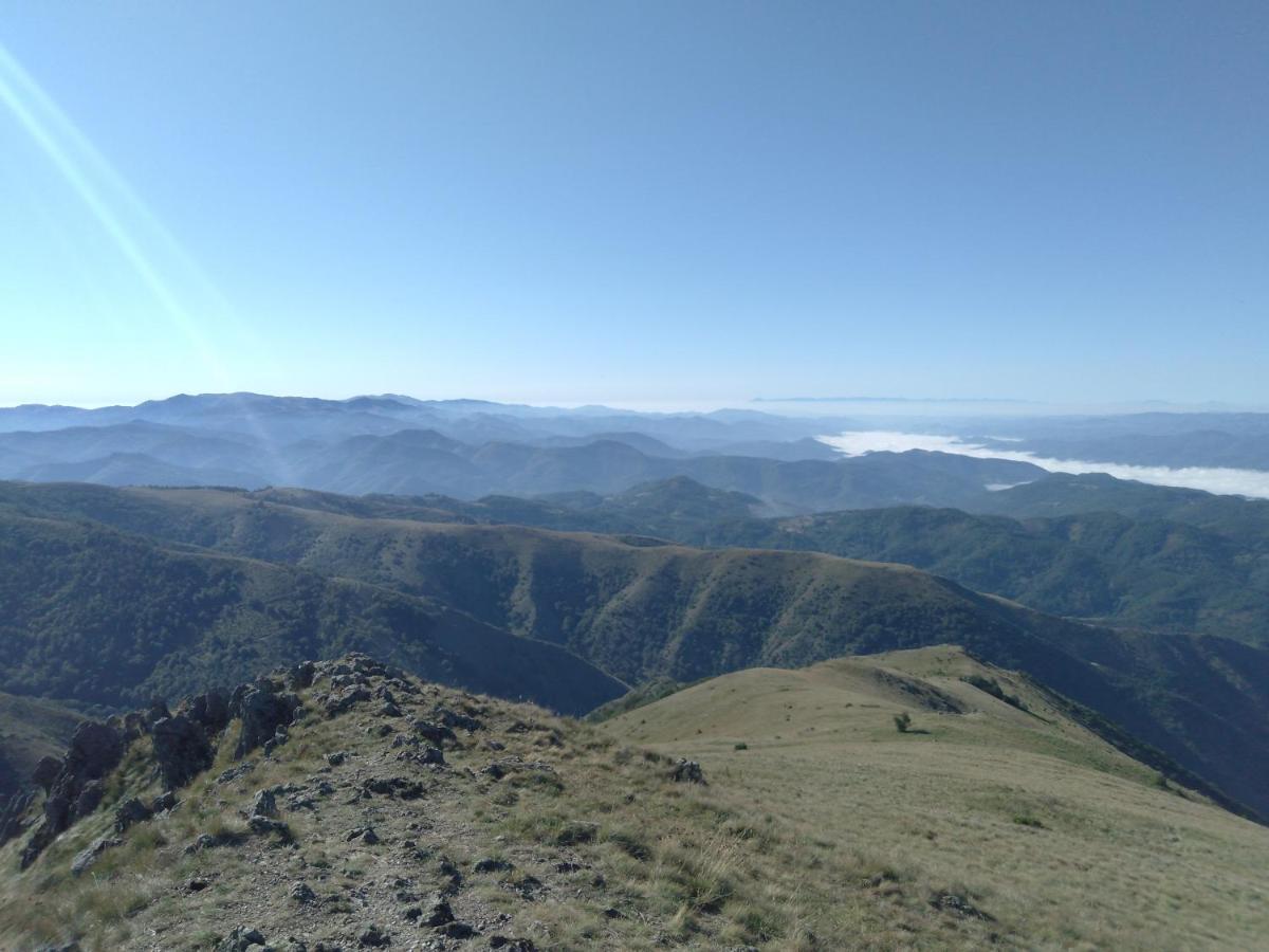 Vikendica Vila Despotovic Kopaonik Dış mekan fotoğraf