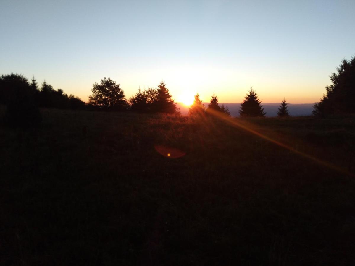Vikendica Vila Despotovic Kopaonik Dış mekan fotoğraf