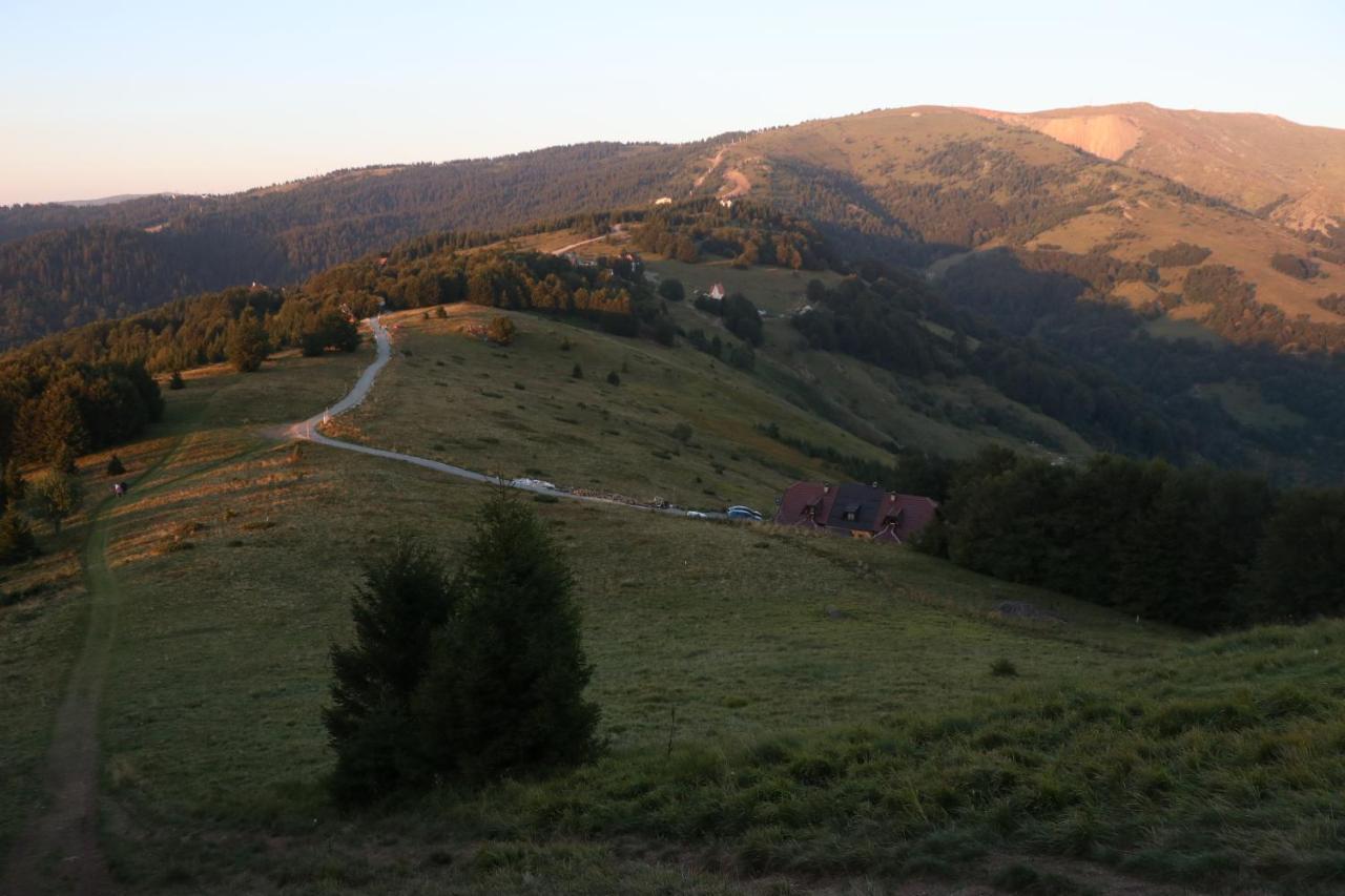 Vikendica Vila Despotovic Kopaonik Dış mekan fotoğraf