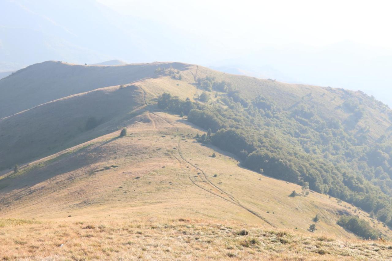 Vikendica Vila Despotovic Kopaonik Dış mekan fotoğraf