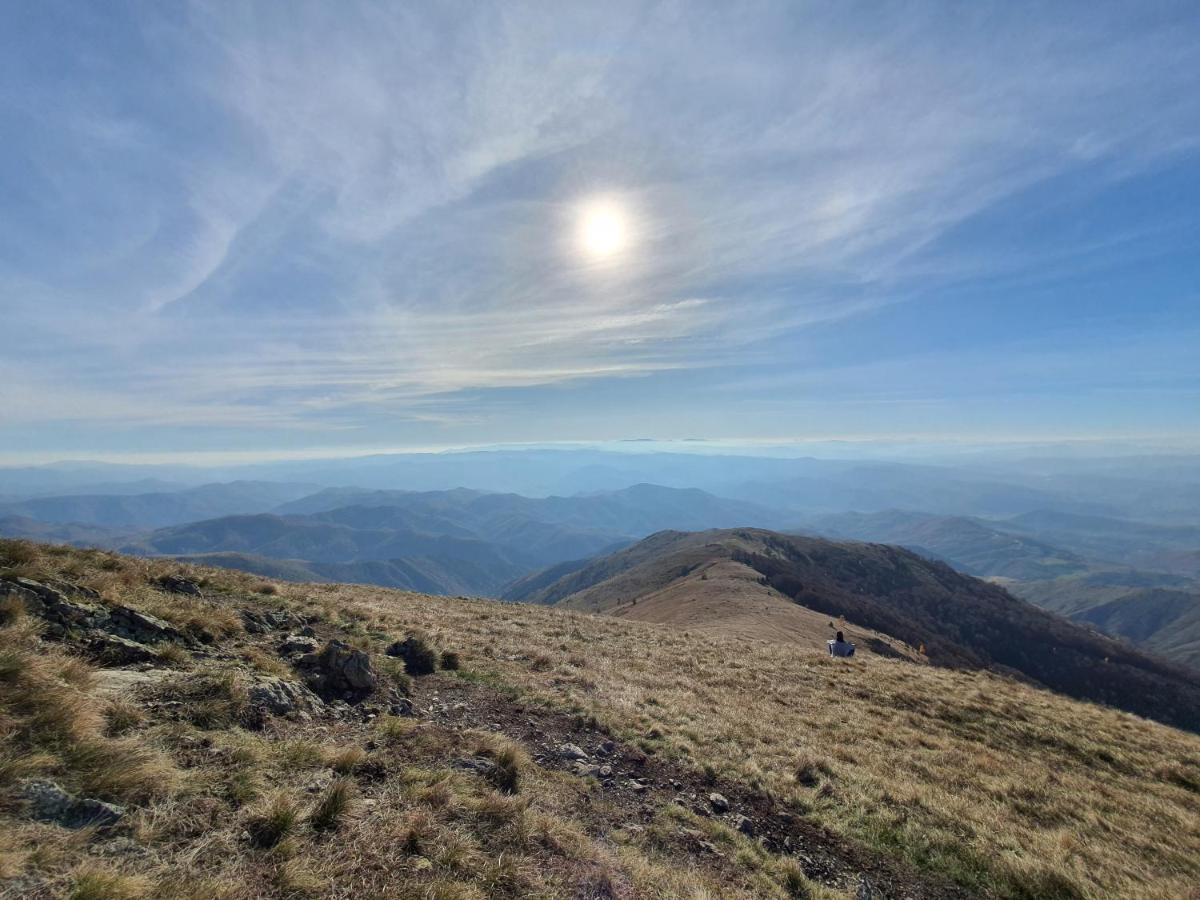 Vikendica Vila Despotovic Kopaonik Dış mekan fotoğraf