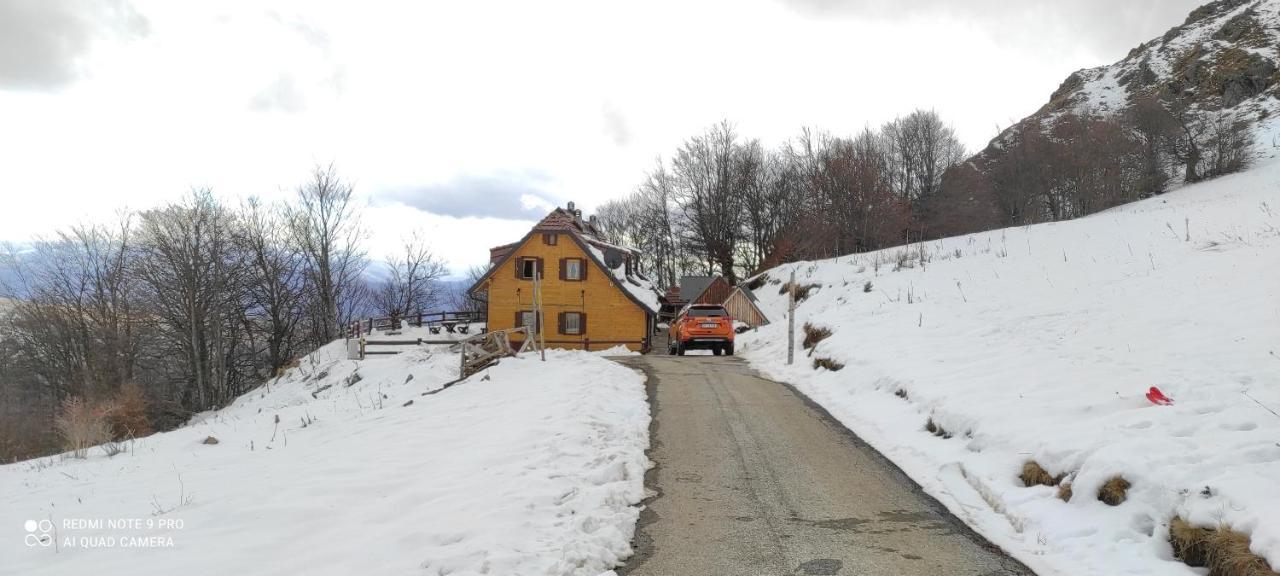 Vikendica Vila Despotovic Kopaonik Dış mekan fotoğraf