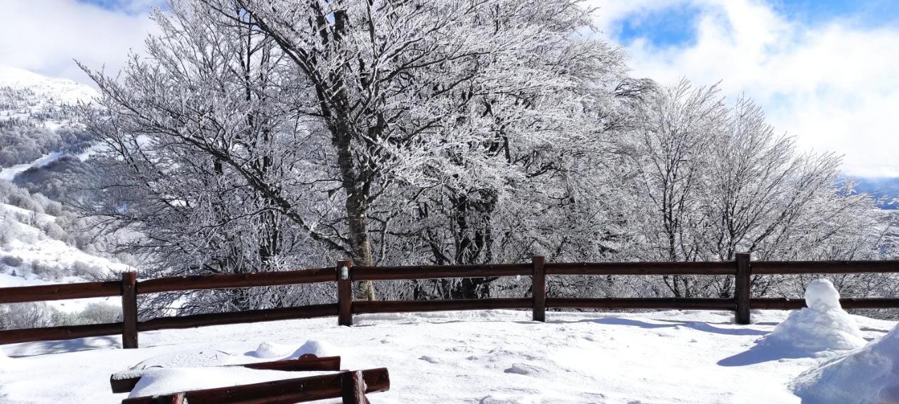 Vikendica Vila Despotovic Kopaonik Dış mekan fotoğraf