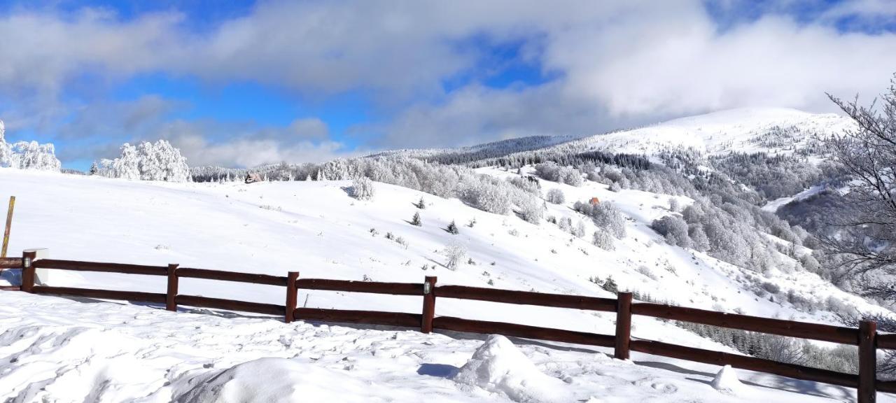 Vikendica Vila Despotovic Kopaonik Dış mekan fotoğraf