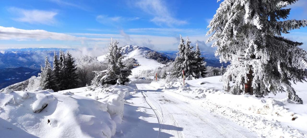 Vikendica Vila Despotovic Kopaonik Dış mekan fotoğraf
