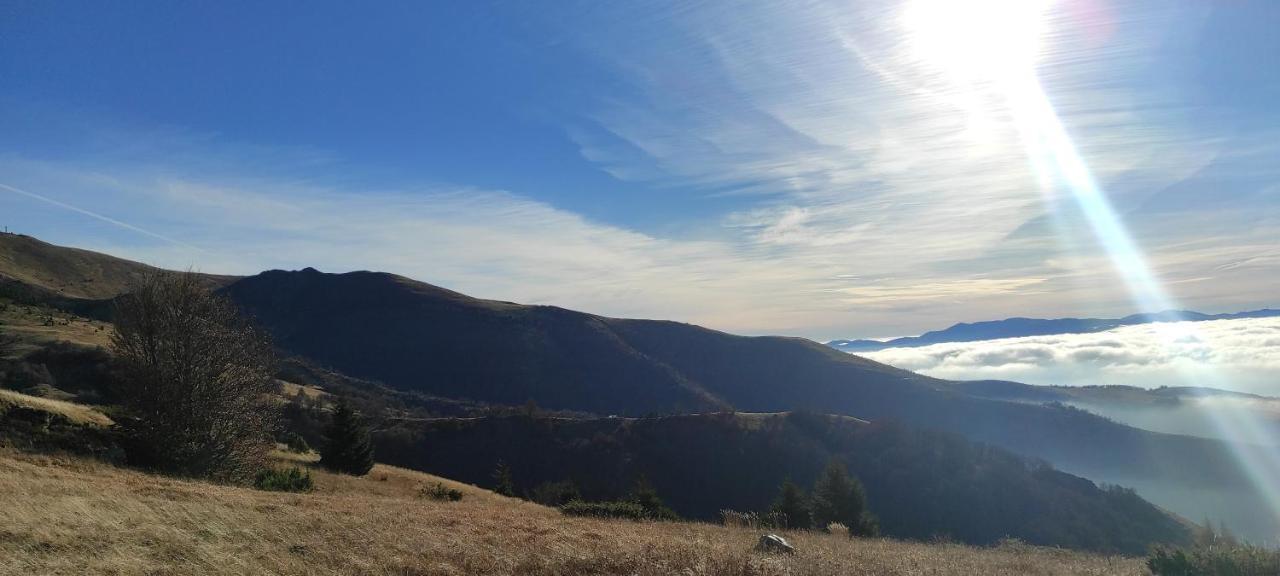 Vikendica Vila Despotovic Kopaonik Dış mekan fotoğraf