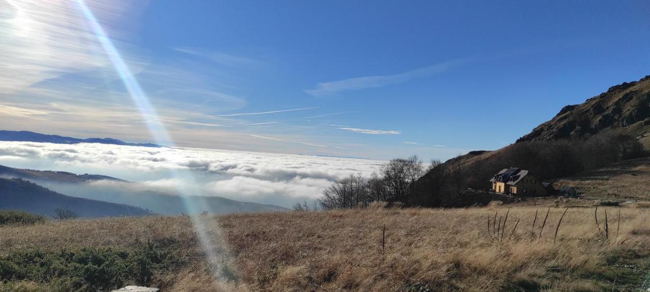 Vikendica Vila Despotovic Kopaonik Dış mekan fotoğraf