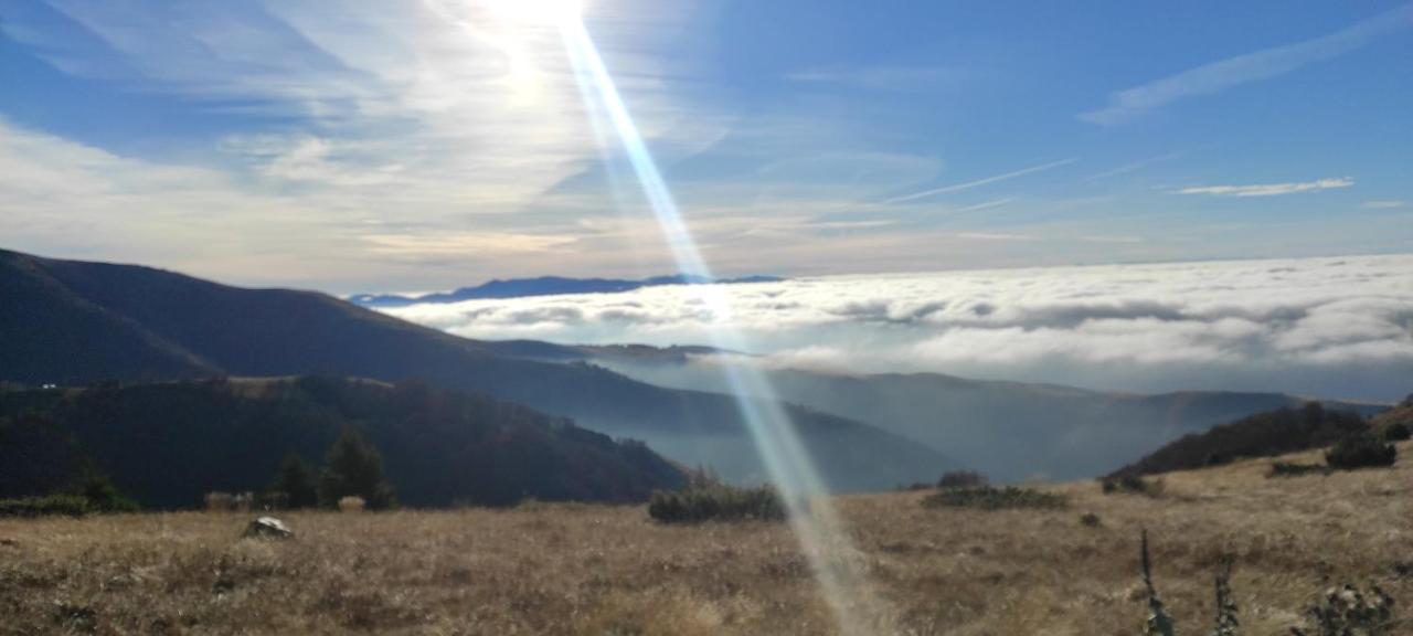 Vikendica Vila Despotovic Kopaonik Dış mekan fotoğraf