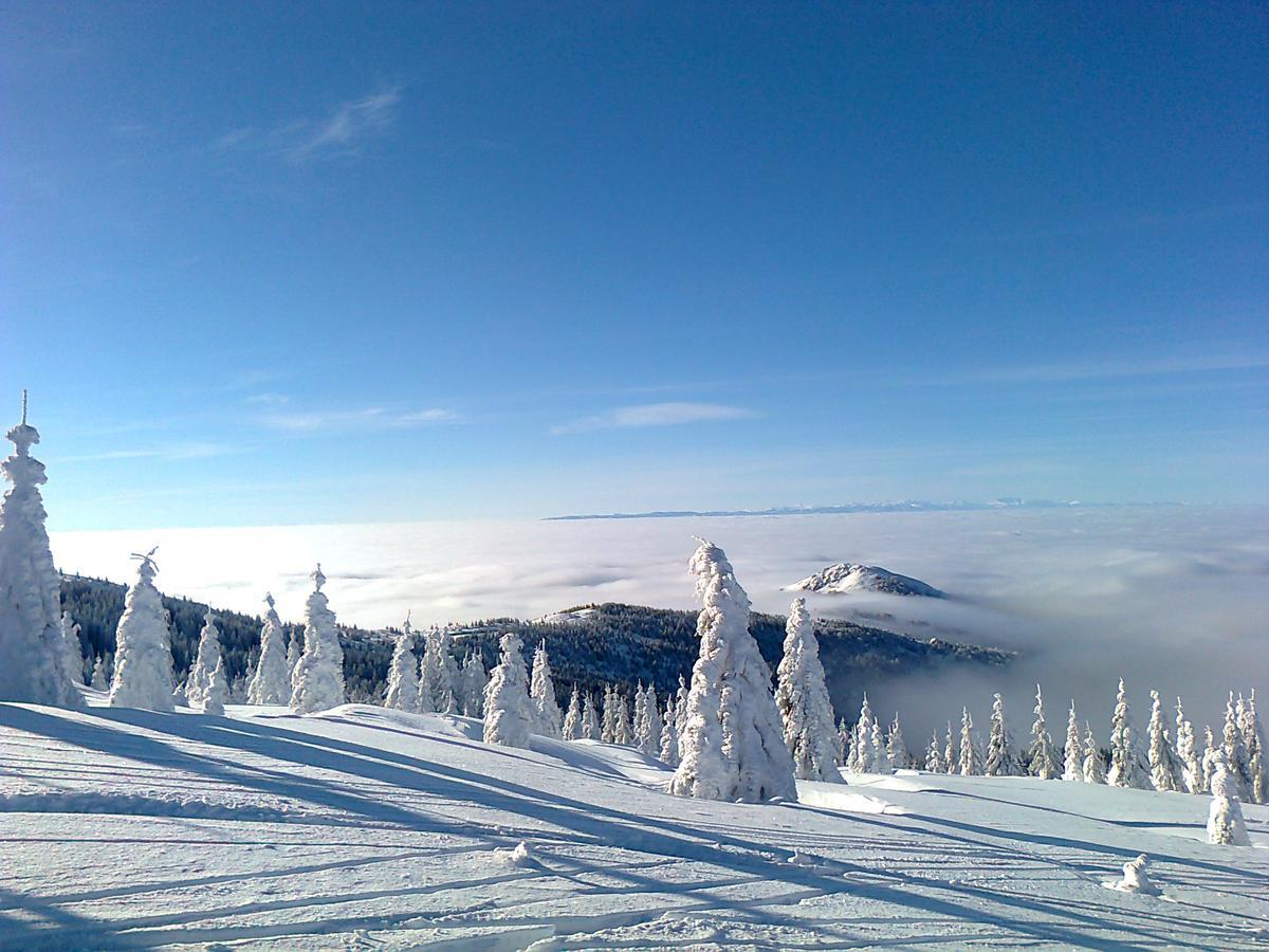 Vikendica Vila Despotovic Kopaonik Dış mekan fotoğraf