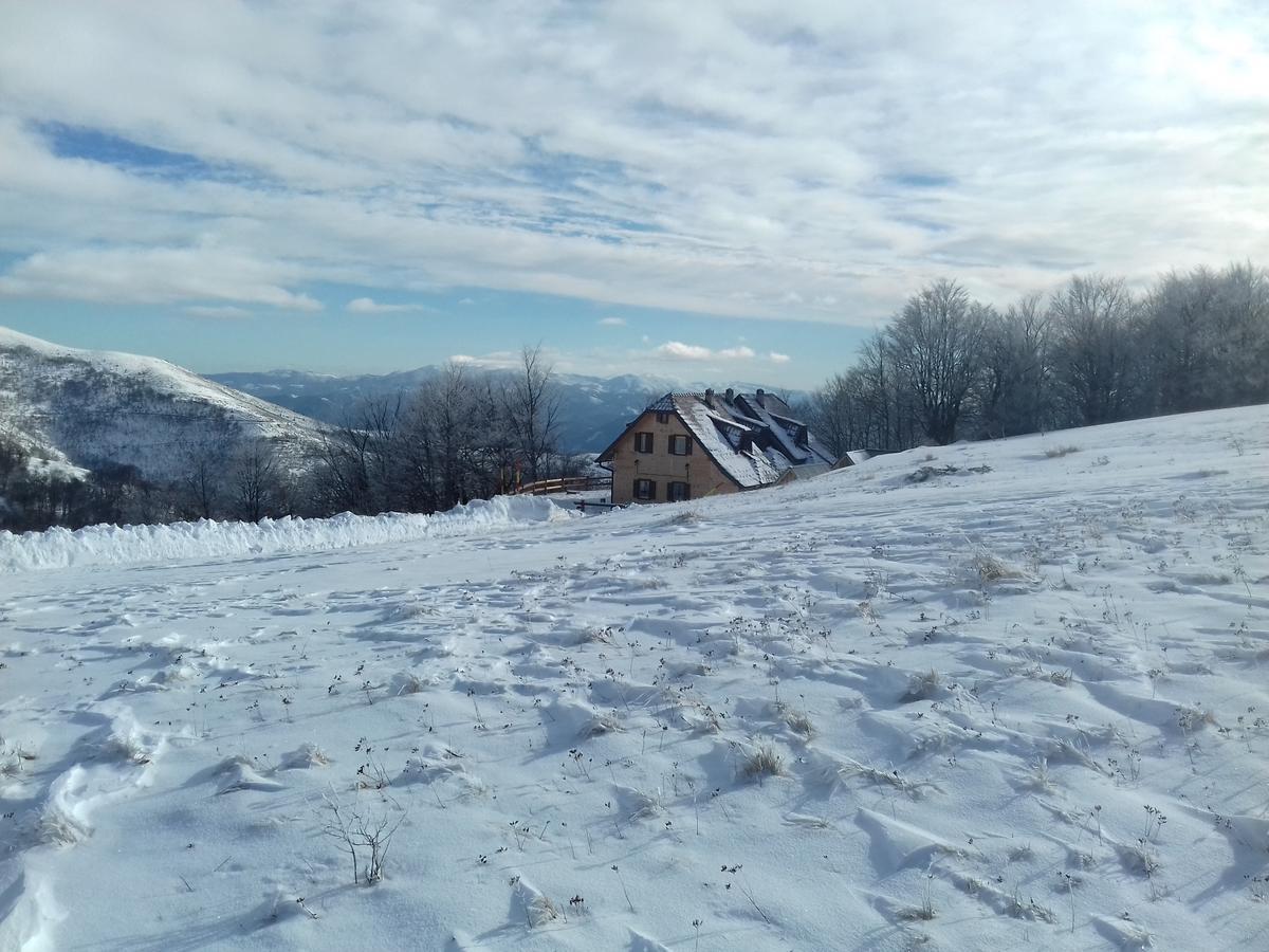 Vikendica Vila Despotovic Kopaonik Dış mekan fotoğraf