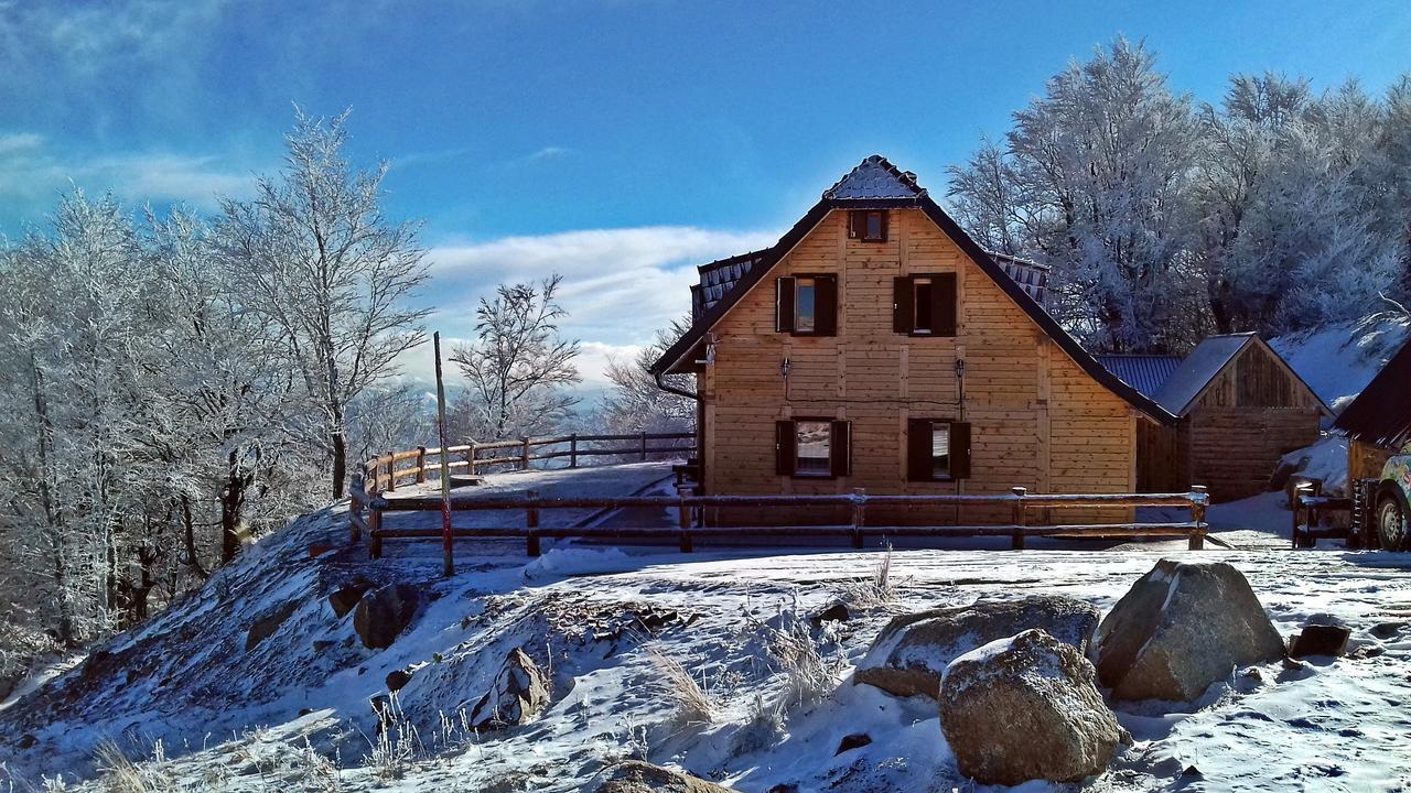 Vikendica Vila Despotovic Kopaonik Dış mekan fotoğraf