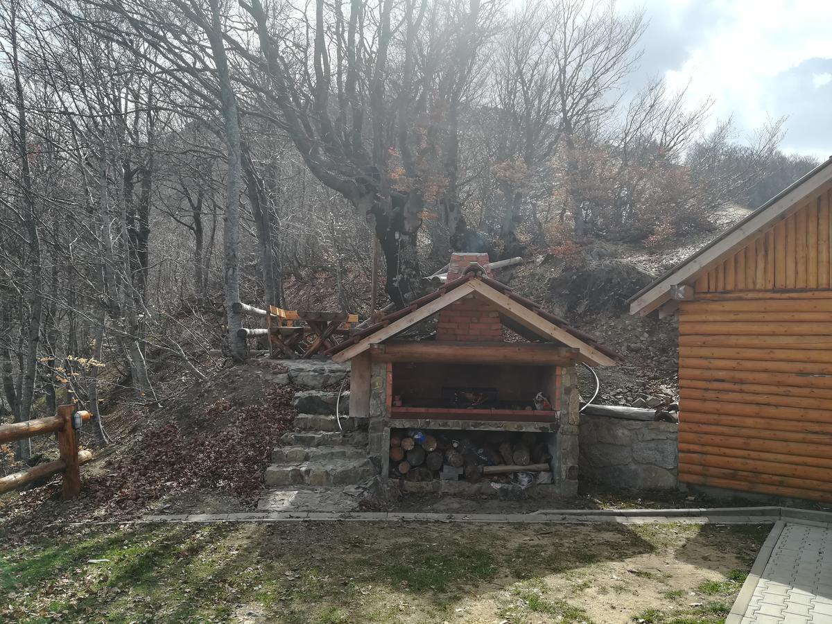 Vikendica Vila Despotovic Kopaonik Dış mekan fotoğraf