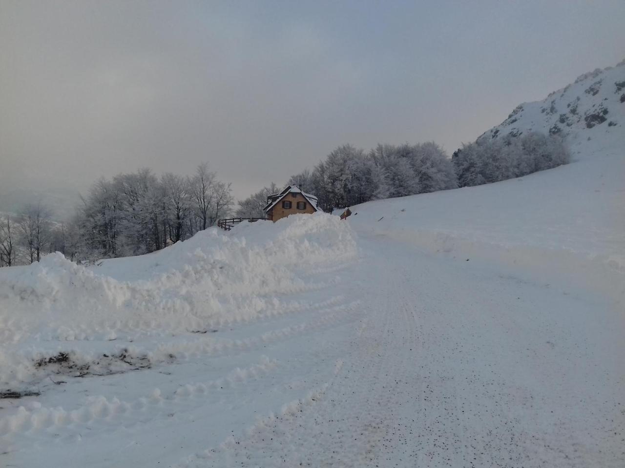 Vikendica Vila Despotovic Kopaonik Dış mekan fotoğraf