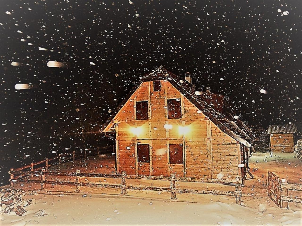Vikendica Vila Despotovic Kopaonik Dış mekan fotoğraf