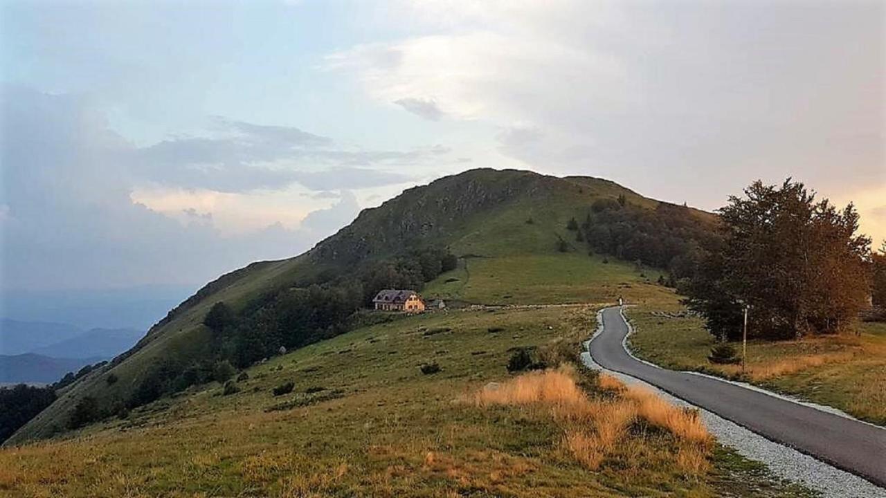 Vikendica Vila Despotovic Kopaonik Dış mekan fotoğraf