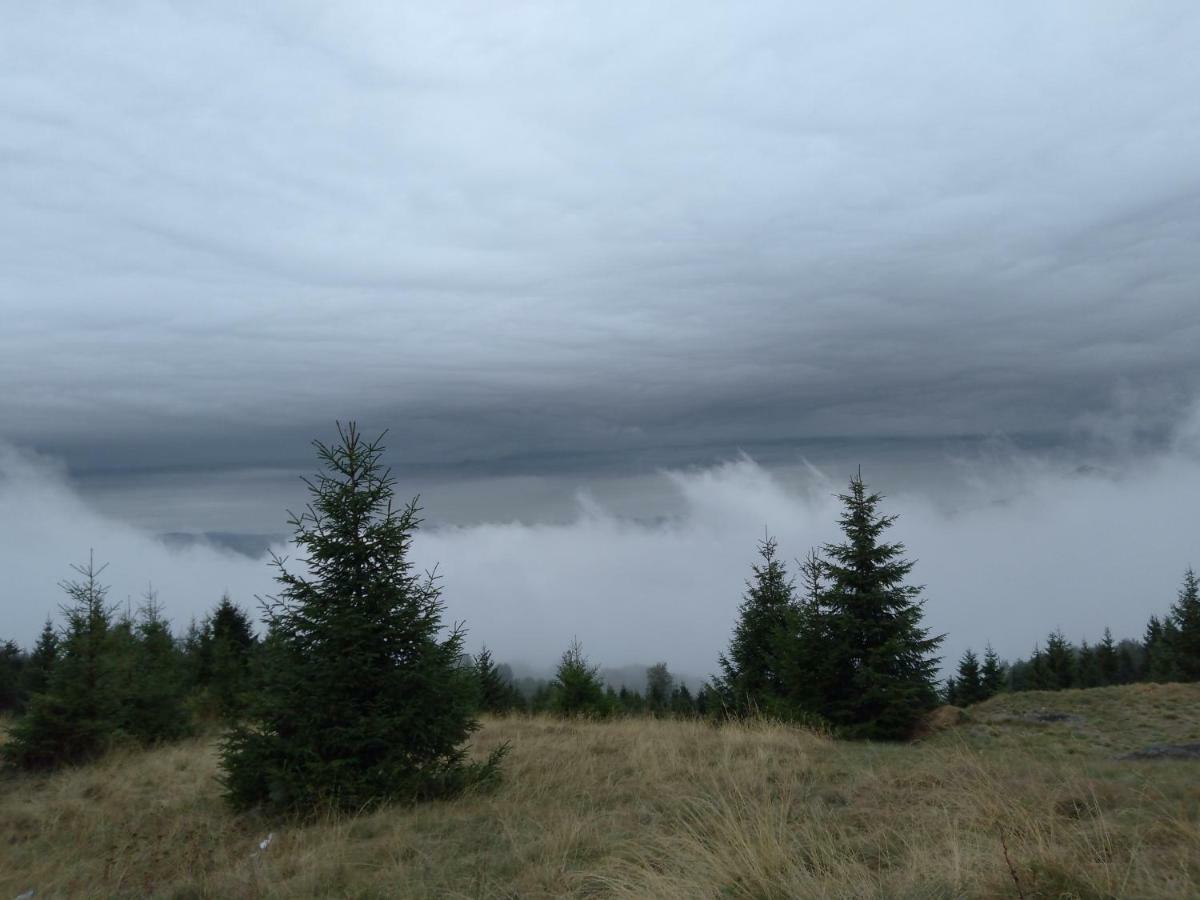 Vikendica Vila Despotovic Kopaonik Dış mekan fotoğraf